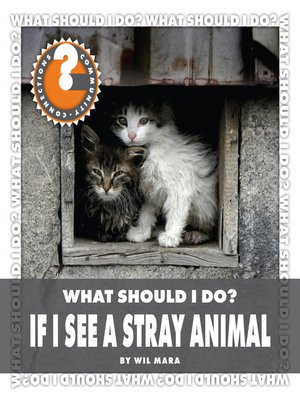 cover image of What Should I Do? If I See a Stray Animal